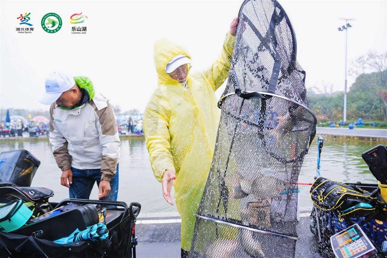 mmexport1761384600881.jpg mmexport1761384600881.jpg