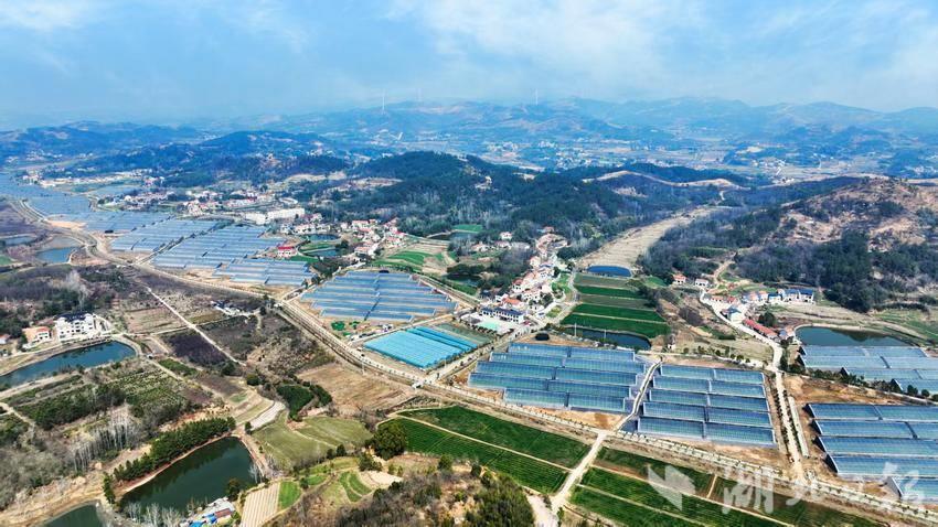 团风朝阳山村智慧蔬菜大棚鸟瞰图。