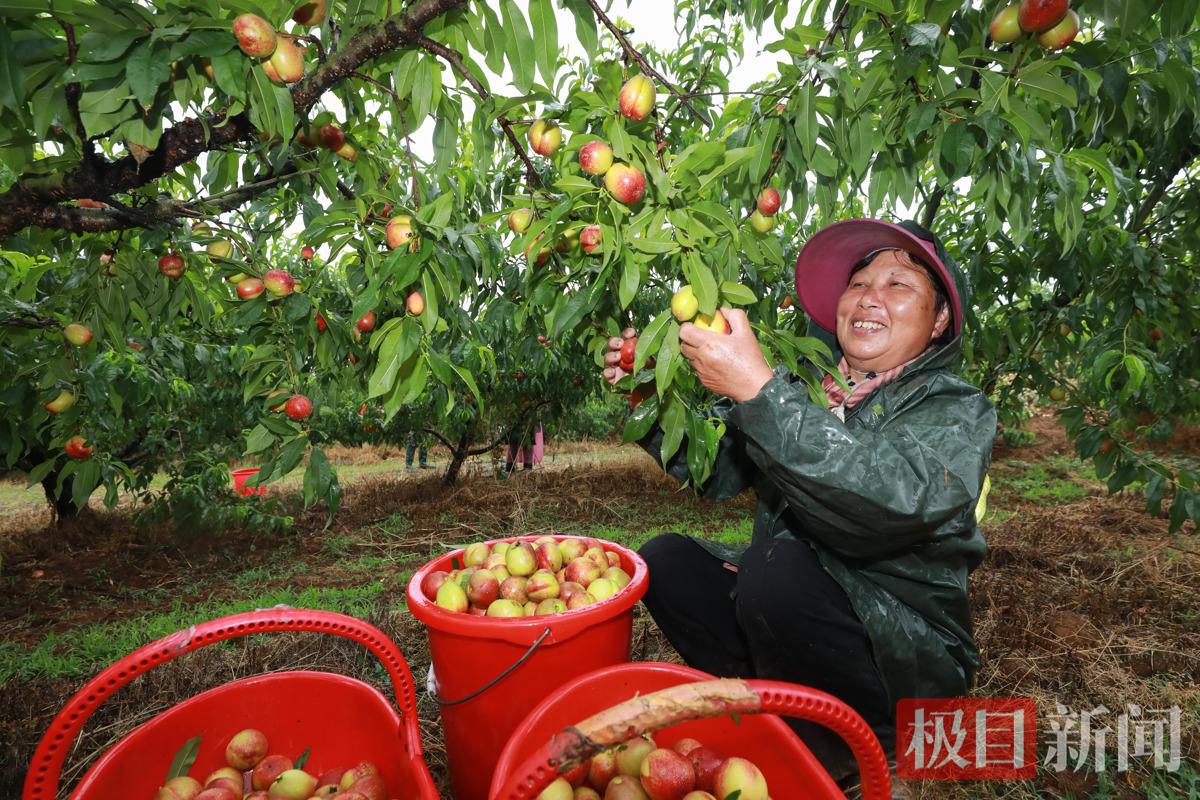 微信图片_2026-05-14_163300_751.jpg