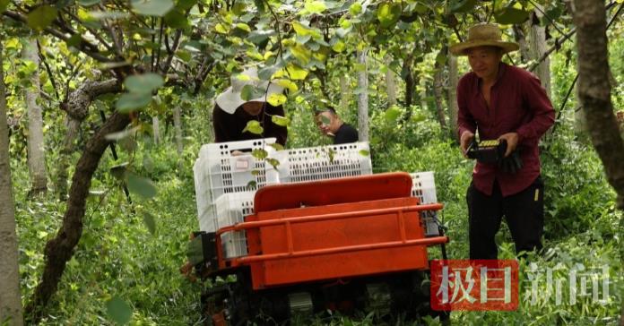 微信图片_20250919150146_41_39.jpg 微信图片_20250919150146_41_39.jpg