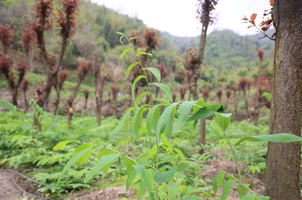 854E7FC5CA02B80D4D21C1CF141EB05C.png 854E7FC5CA02B80D4D21C1CF141EB05C.png