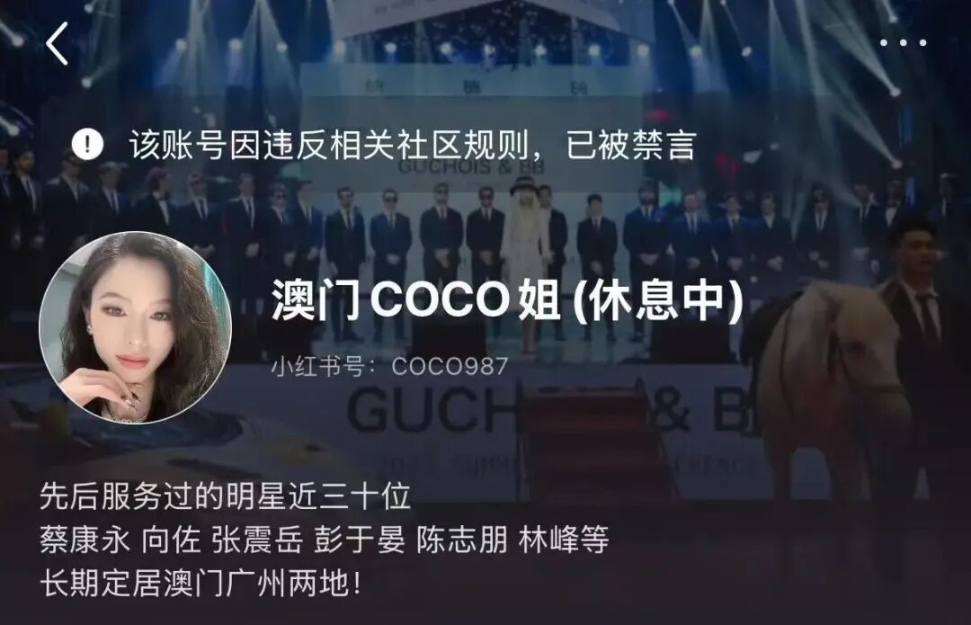 “澳门COCO姐”被多平台禁言，曾凭借8.8元虫草内裤月销250万元，称霸男装带货赛道 | 极目新闻