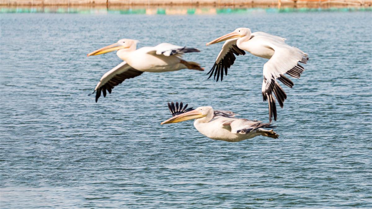 微信图片_20210623101955 拷贝.jpg