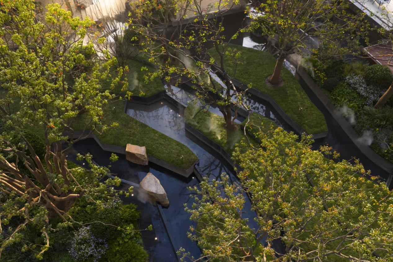 图片19.png 图片19.png