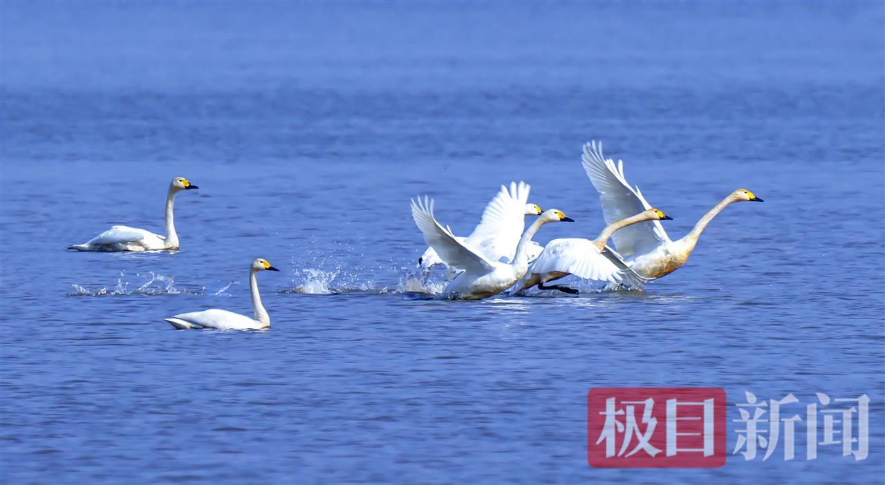 荆州崇湖环境照片 (3).JPG