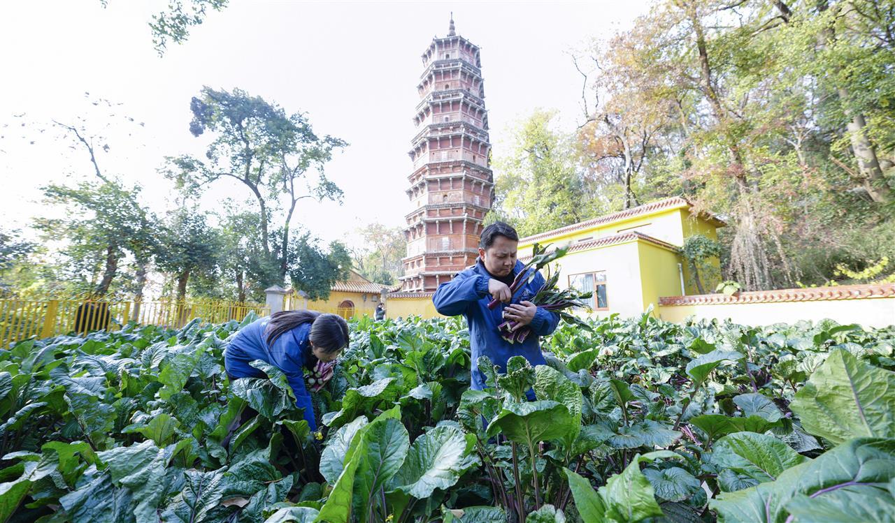 cb202412251503166685236ung.jpg cb202412251503166685236ung.jpg