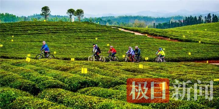 03692DB98EAF2556C0EE91B2011F1812.png 03692DB98EAF2556C0EE91B2011F1812.png