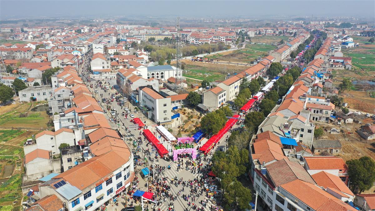 徐古街,旧街街以及李集街都将相继举办2023年花朝文化旅游节系列活动