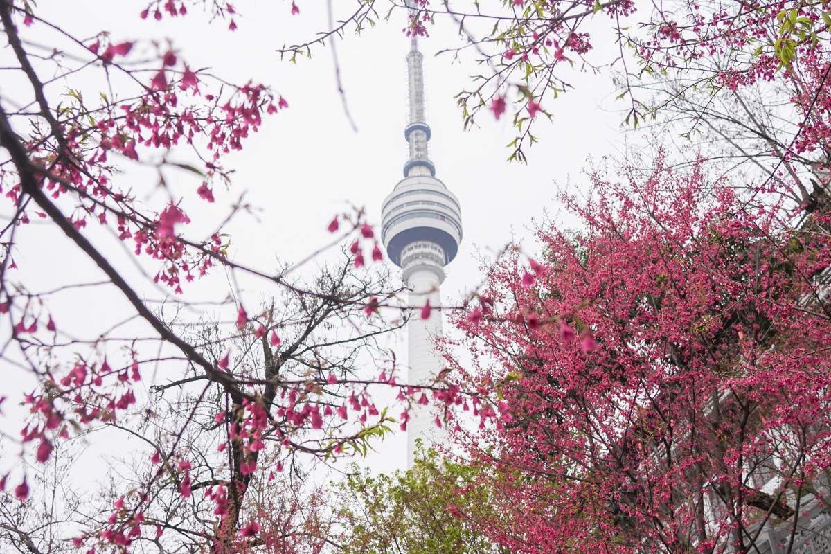 HZI00151.JPG HZI00151.JPG