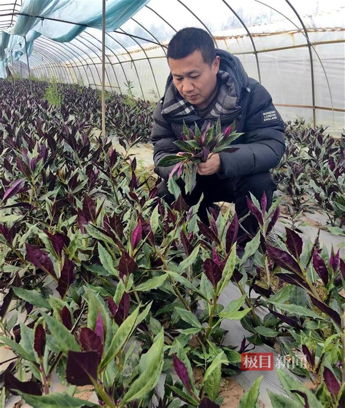 f4162669b429eef259fef516638b577f_pub_cb202502241517541496608fvn.jpg f4162669b429eef259fef516638b577f_pub_cb202502241517541496608fvn.jpg