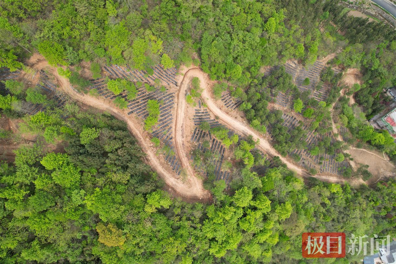 深河林场.jpg 深河林场.jpg