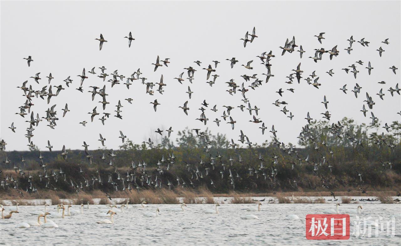 _MG_0940.JPG _MG_0940.JPG