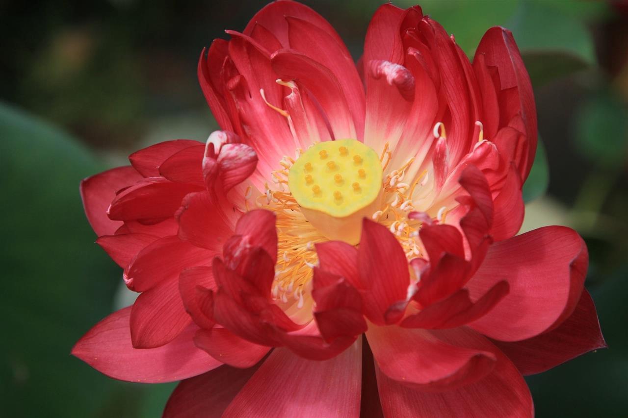 066c7d7d6323f6e64c98f64fbadb06cf_pub_cb202506051641009004905um3.jpg 066c7d7d6323f6e64c98f64fbadb06cf_pub_cb202506051641009004905um3.jpg