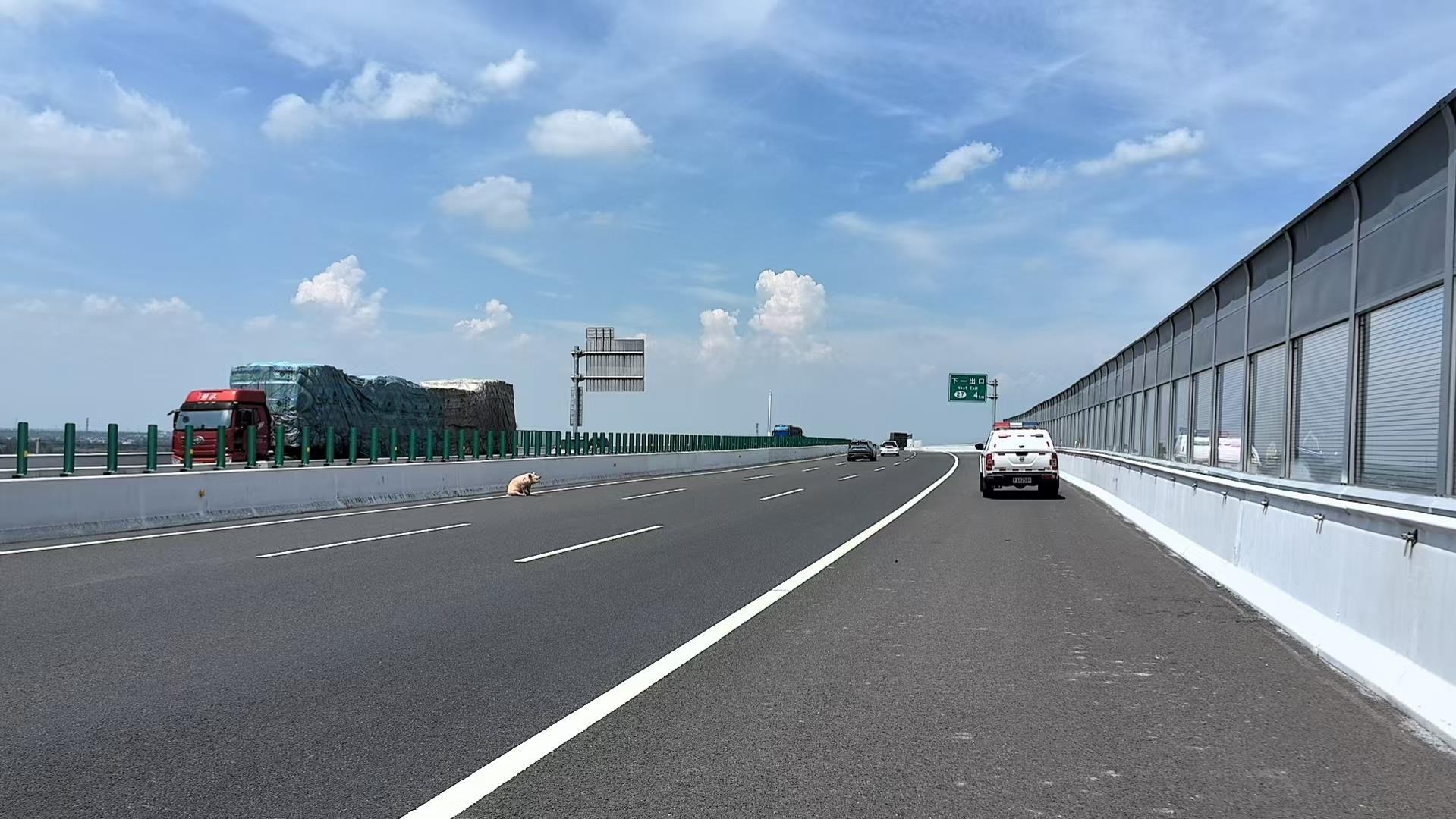 微信图片_20250826113528.jpg 微信图片_20250826113528.jpg