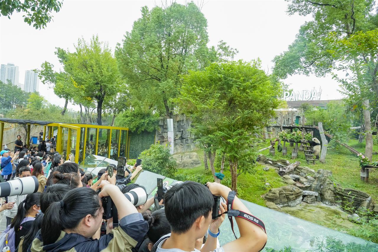 5、游客们“”长枪短炮”捕捉精彩瞬间.jpg