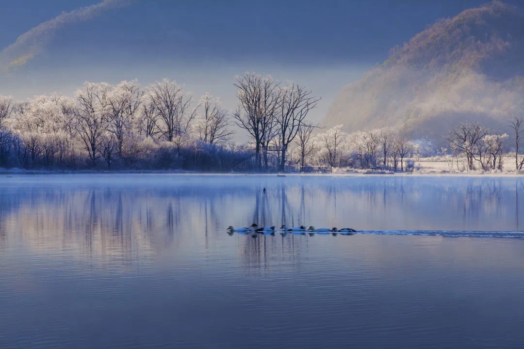 大九湖5号湖雪景.jpg