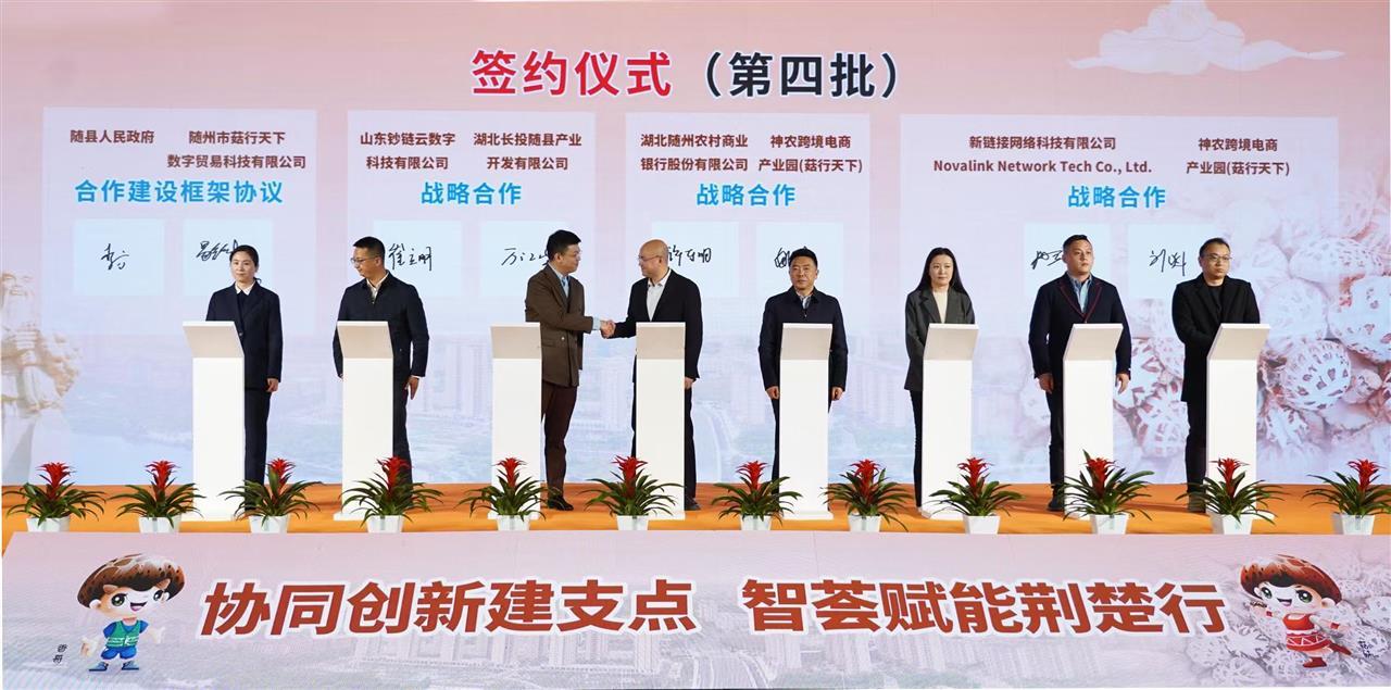 已复核.png 已复核.png