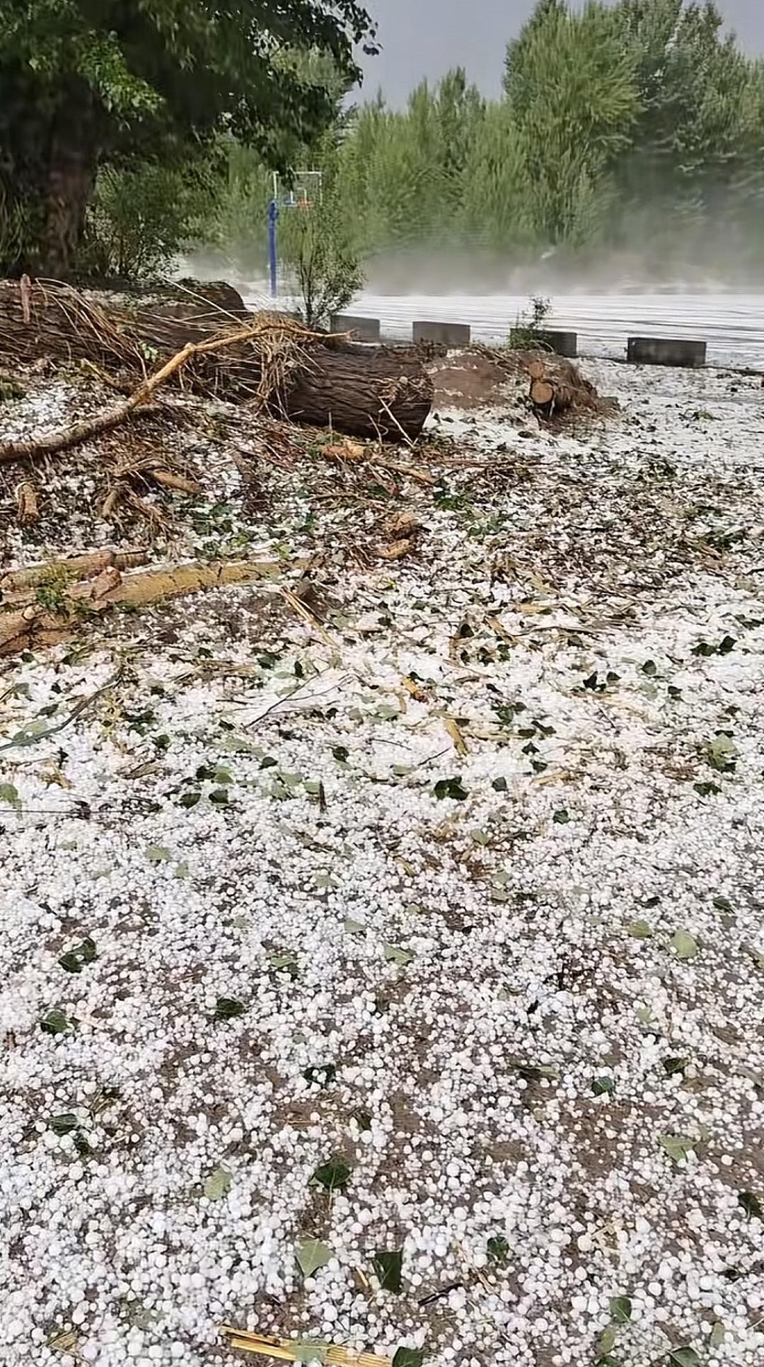 微信图片_20250603191951.jpg 微信图片_20250603191951.jpg