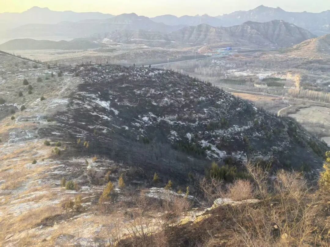 微信图片_2026-04-04_173059_392.jpg 微信图片_2026-04-04_173059_392.jpg