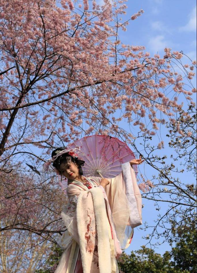 图片1.png 图片1.png