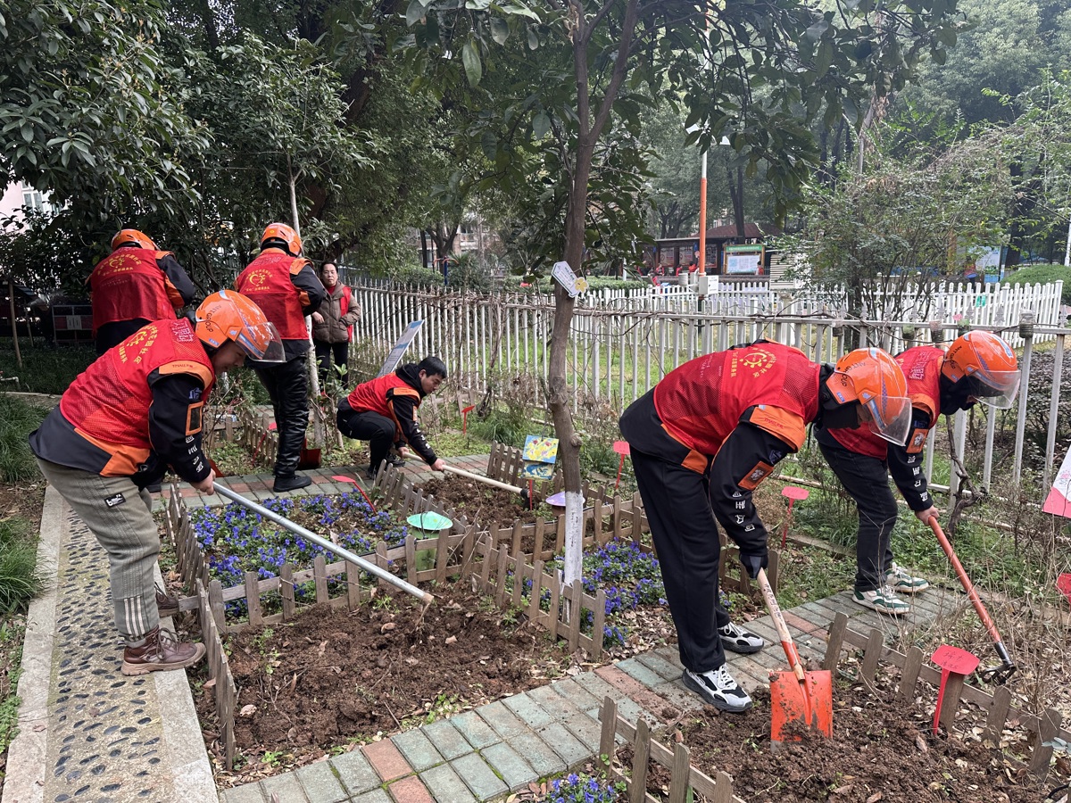 “轻骑兵”志愿服务队对“我家小院”认养区进行翻土整地.jpg
