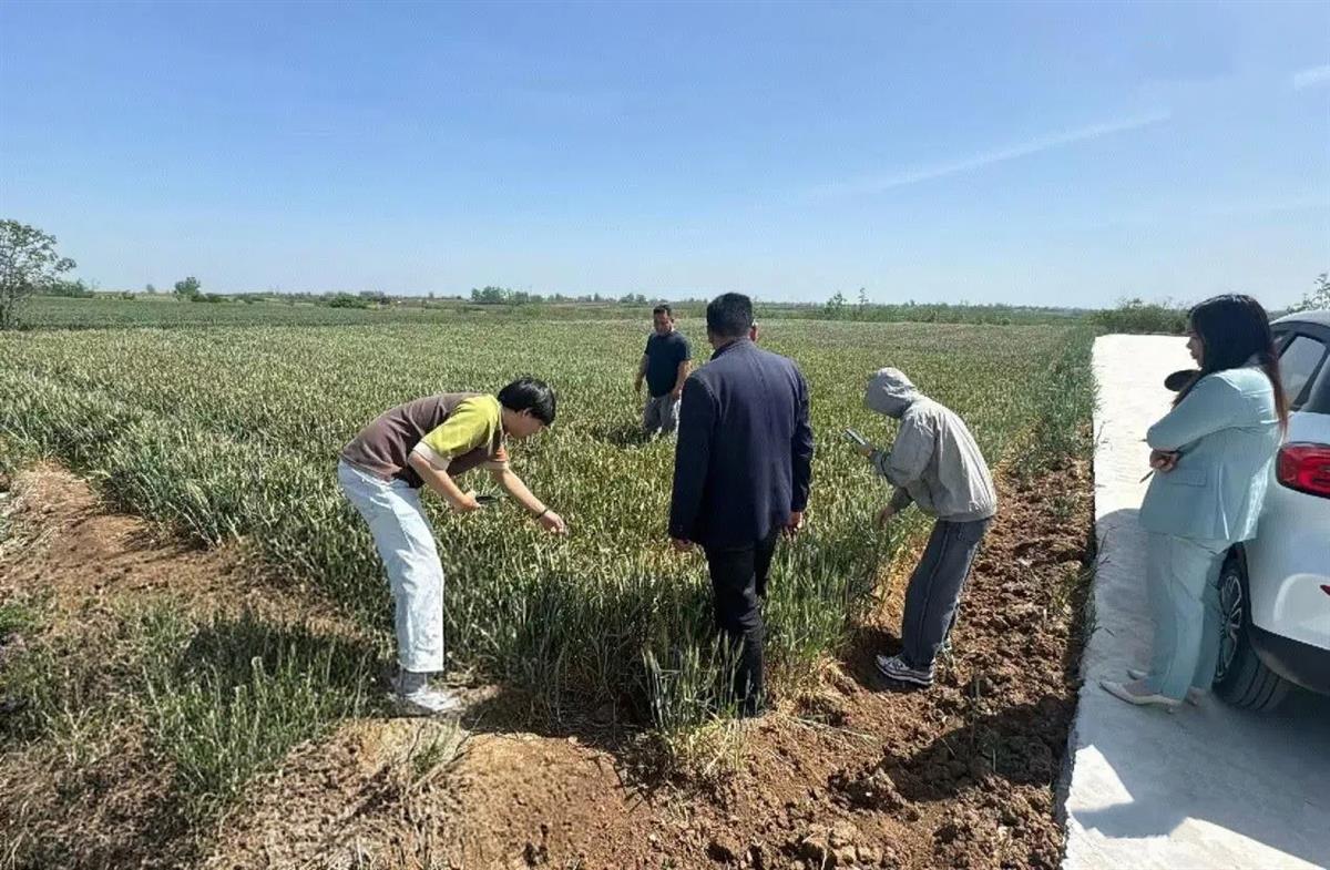 微信图片_20250508154308.jpg 微信图片_20250508154308.jpg