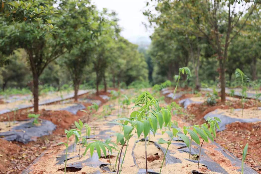 90dd6ecdf6b53c3a5c86b14acfb0eb7f.png 90dd6ecdf6b53c3a5c86b14acfb0eb7f.png