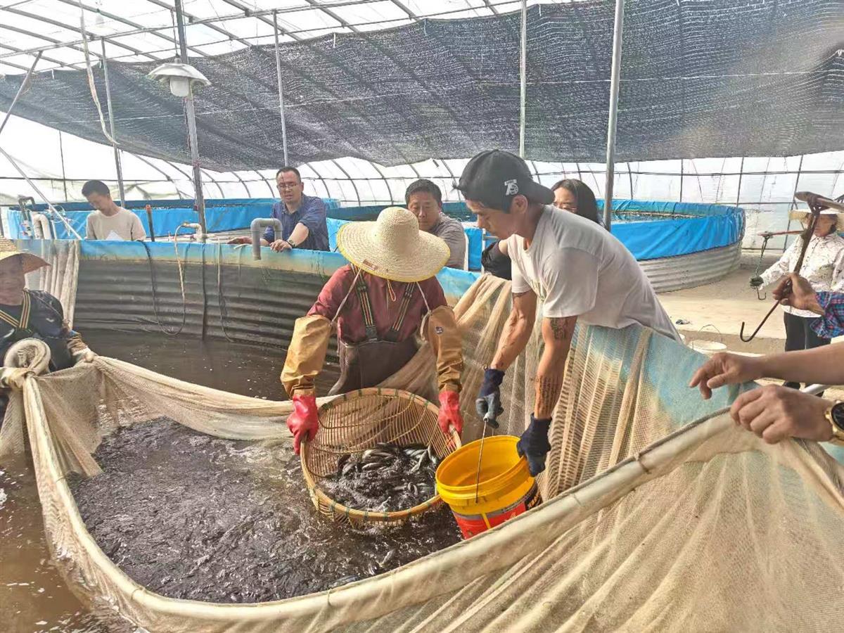 微信图片_20250414103311.jpg 微信图片_20250414103311.jpg