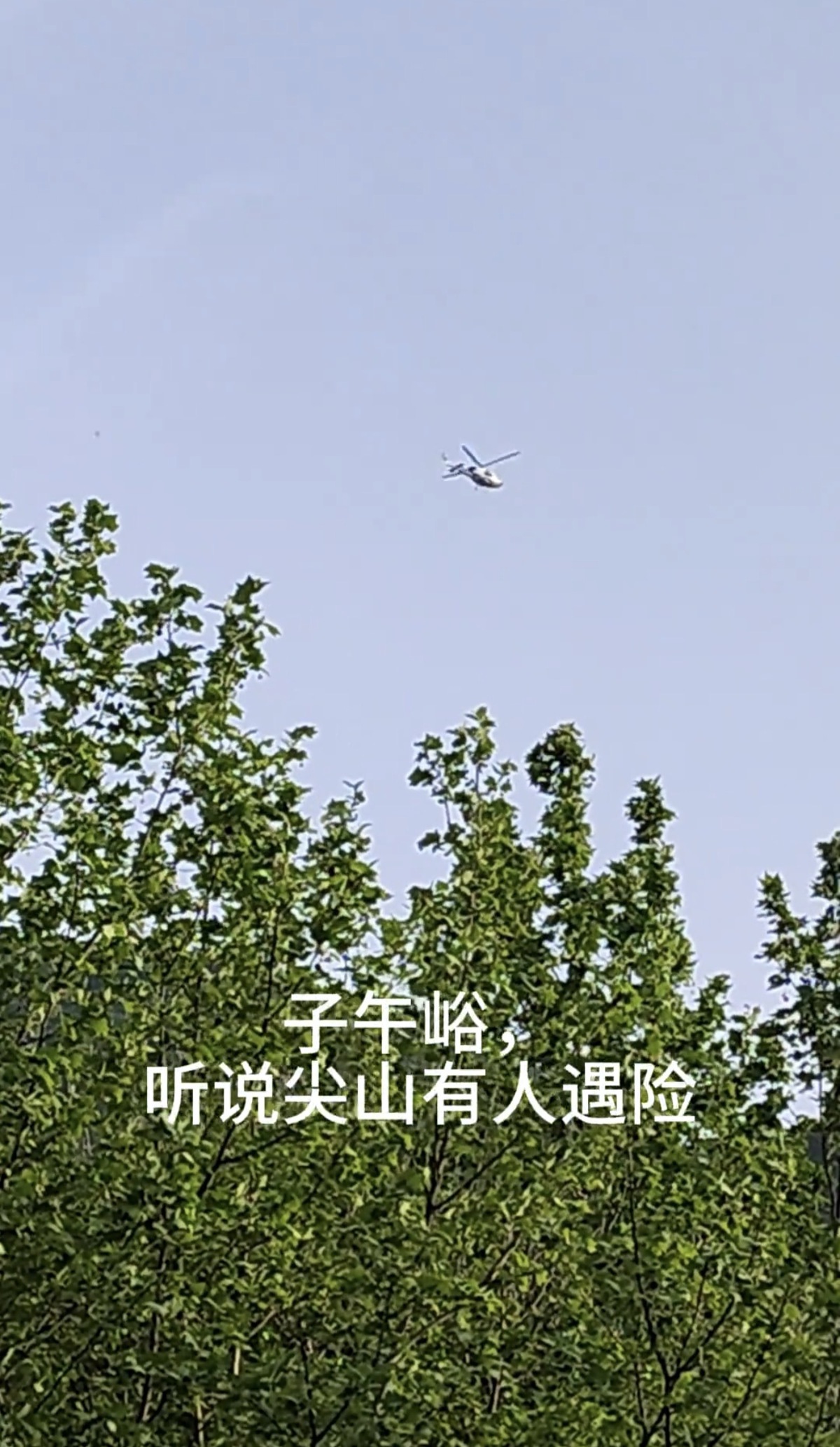 c938e50faa65c2d57125a1040178043f.jpg