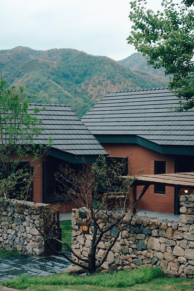 图片 8.png 图片 8.png