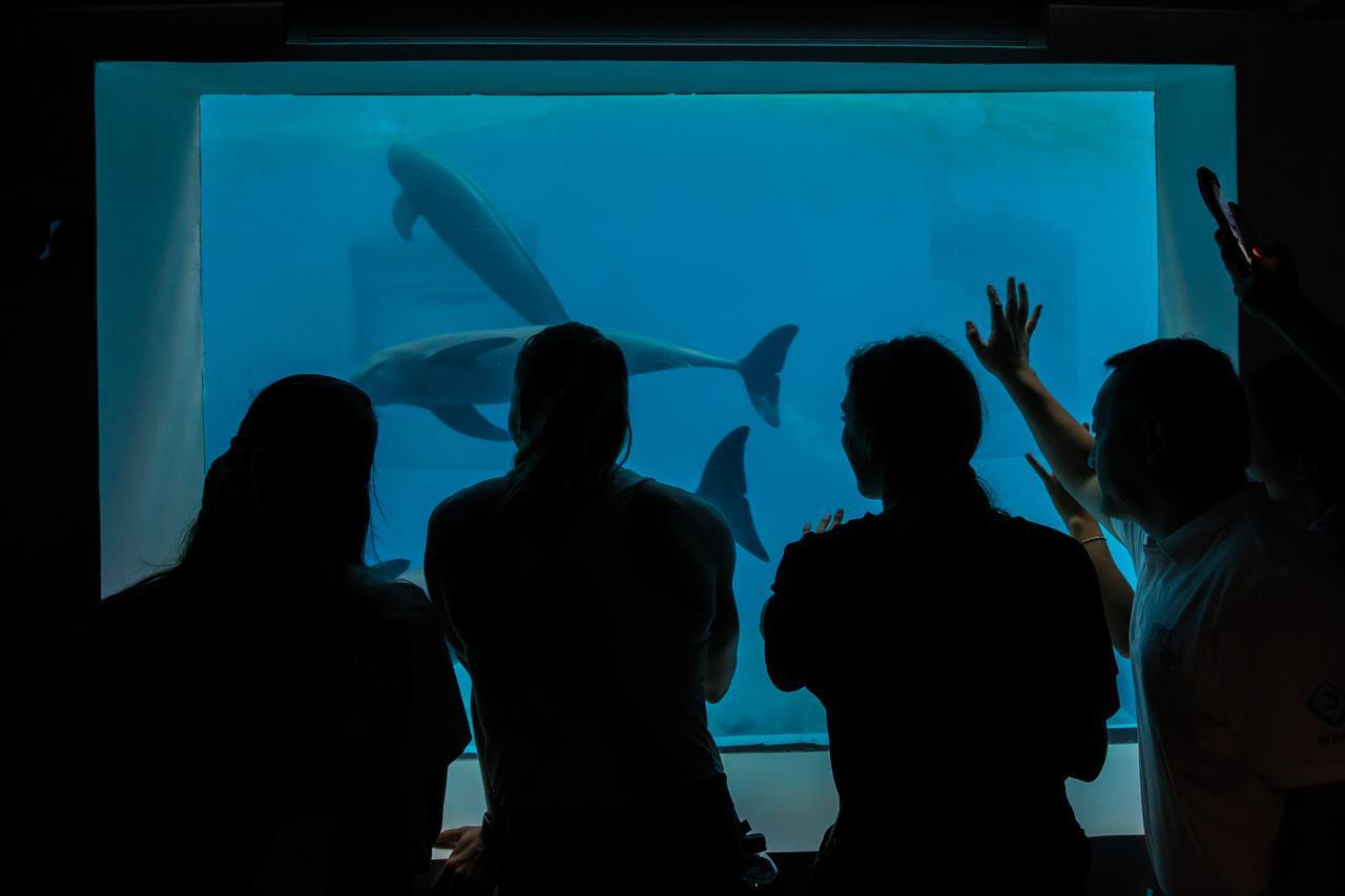 35426e151d0d5e913149be3b84fb22d9.jpg 35426e151d0d5e913149be3b84fb22d9.jpg