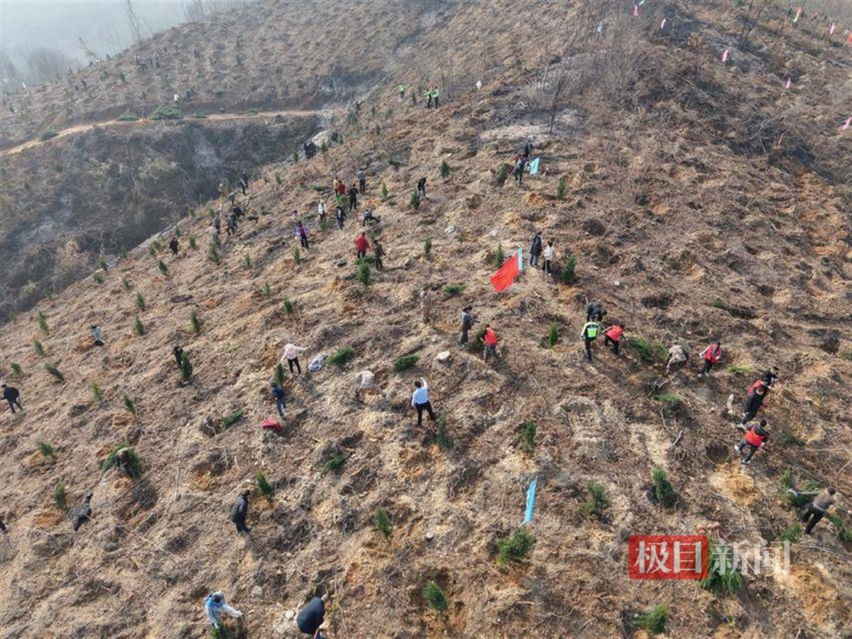 图片4.png 图片4.png