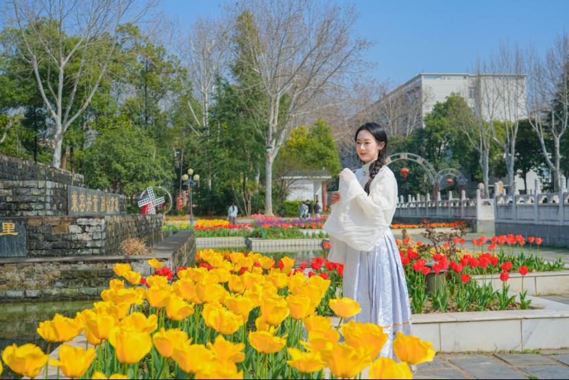 武汉生物工程学院2026年郁金香暨春菊展启幕1049.png 武汉生物工程学院2026年郁金香暨春菊展启幕1049.png