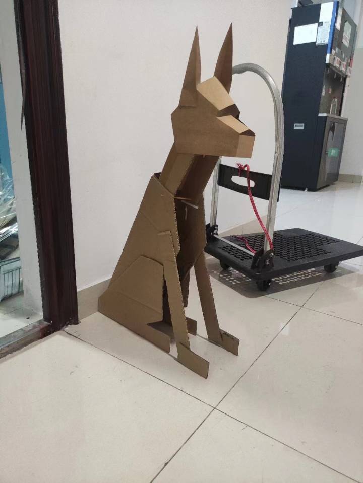 宁大科院学子制作纸箱"宠物狗" | 极目新闻