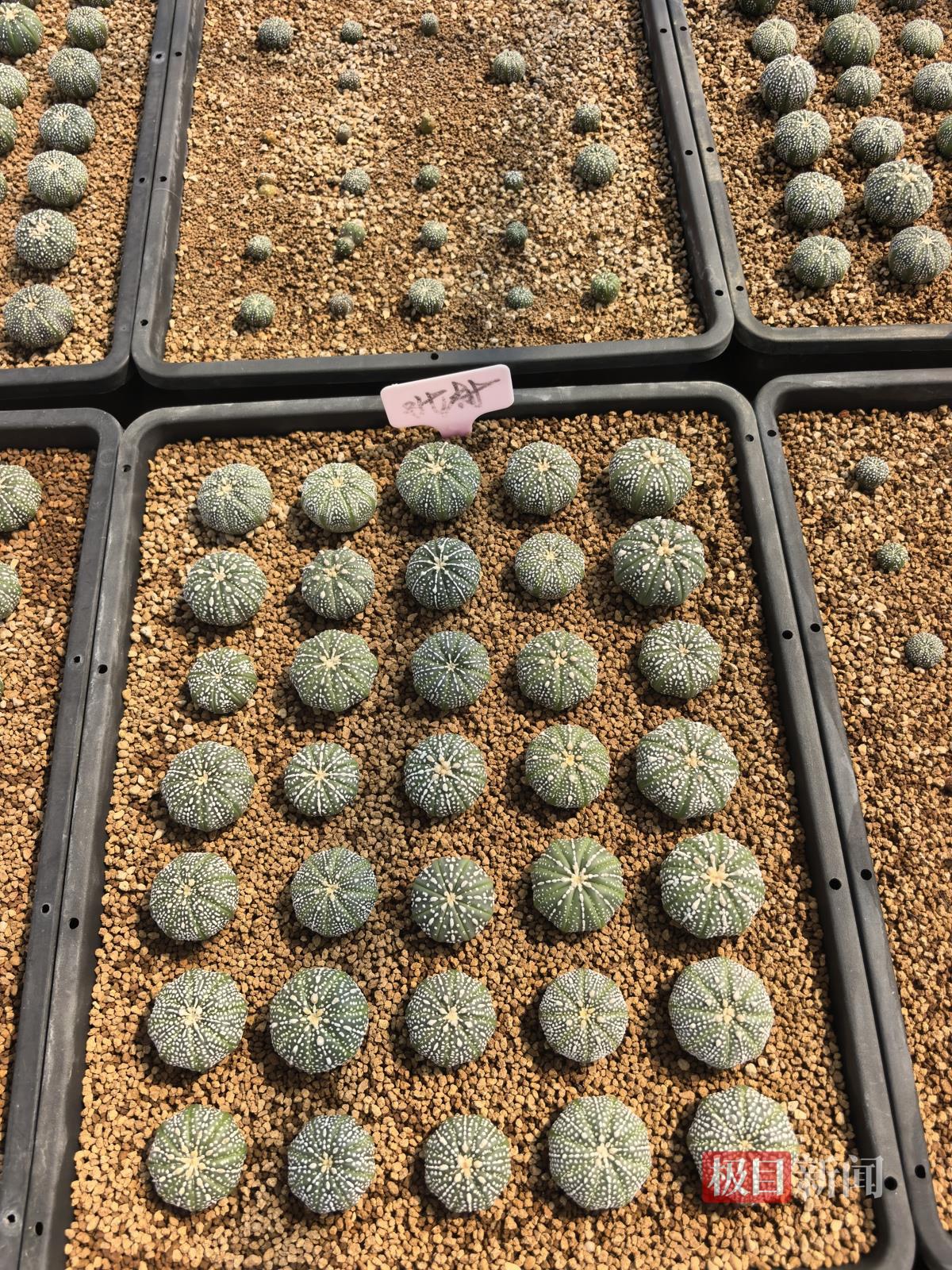 5c67234bc56c958657ff6f154d30c21d.jpg 5c67234bc56c958657ff6f154d30c21d.jpg