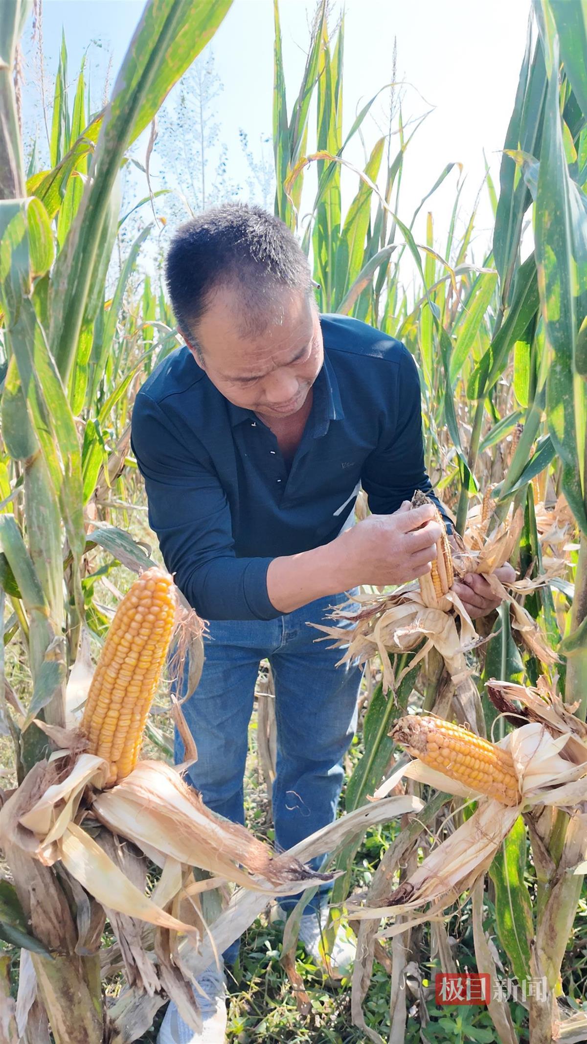 廖辉剥玉米.jpg