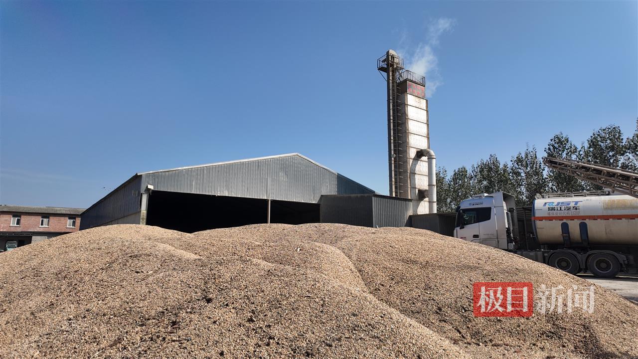 大型粮食收购烘干站.jpg
