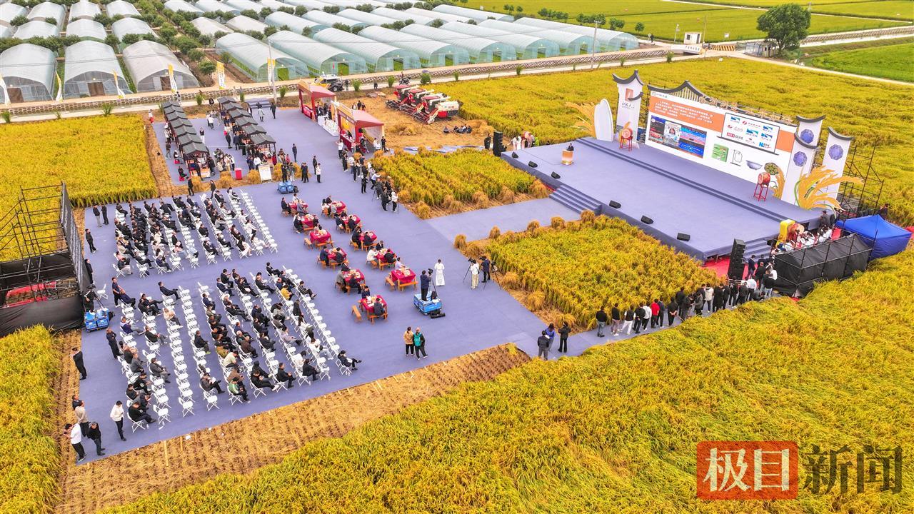 9月23日，湖北监利，水润荆楚·江米如珠，全国主流媒体走进江汉大米品牌核心地品牌推介会现场。（监利融媒记者 饶志超 摄） (1).jpg