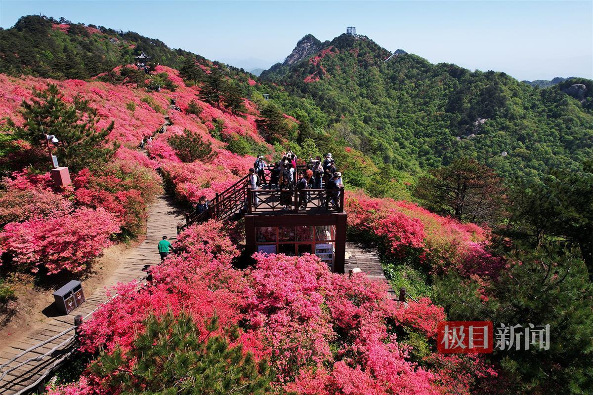 微信图片_20250418223428.jpg 微信图片_20250418223428.jpg