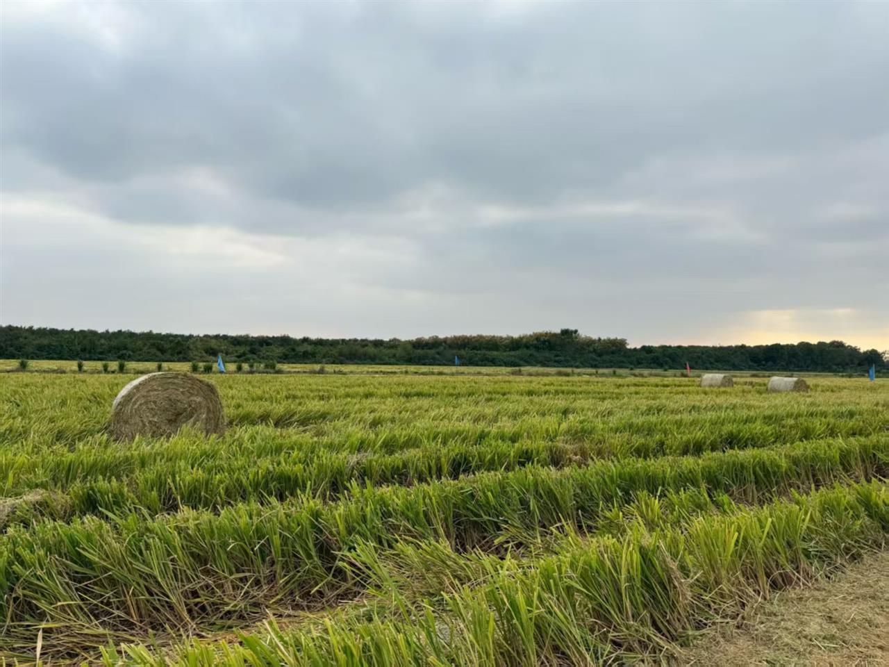 微信图片_2025-10-19_160608_608.jpg 微信图片_2025-10-19_160608_608.jpg