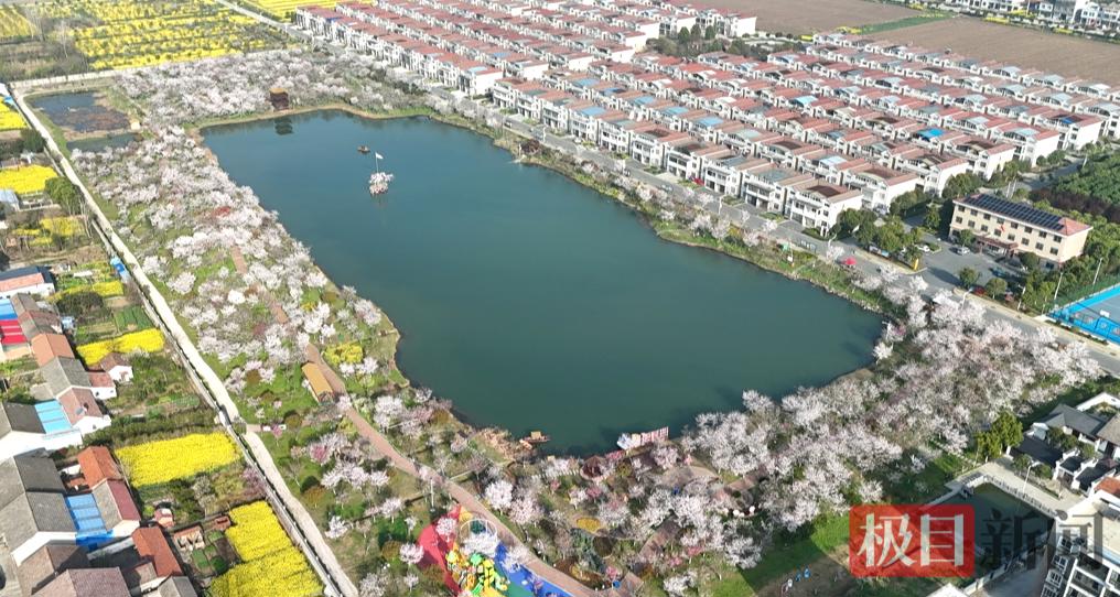 图片14.jpg 图片14.jpg