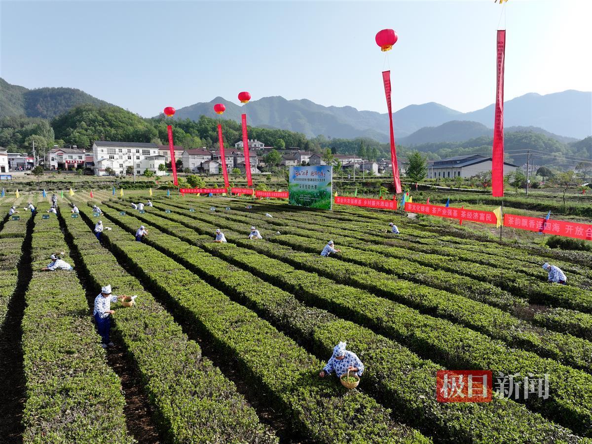 DJI_20250417082446_0129_D.JPG
