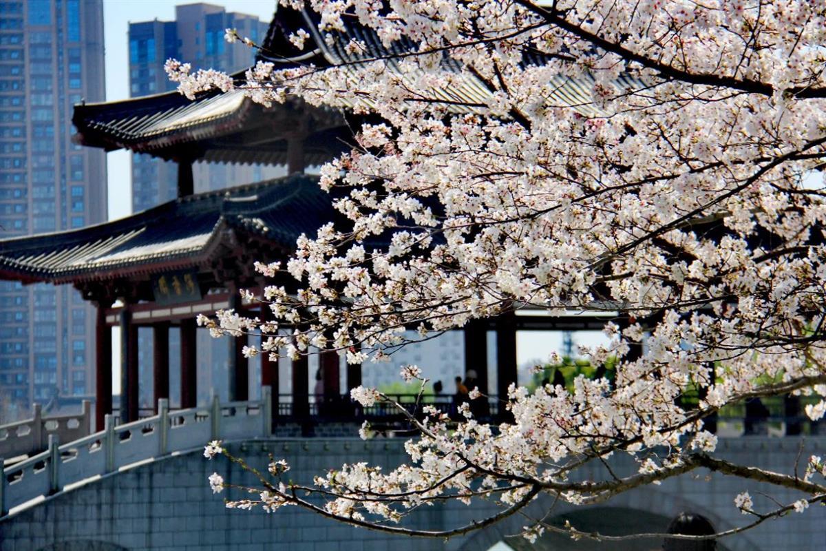 微信图片_20250327165636.jpg 微信图片_20250327165636.jpg