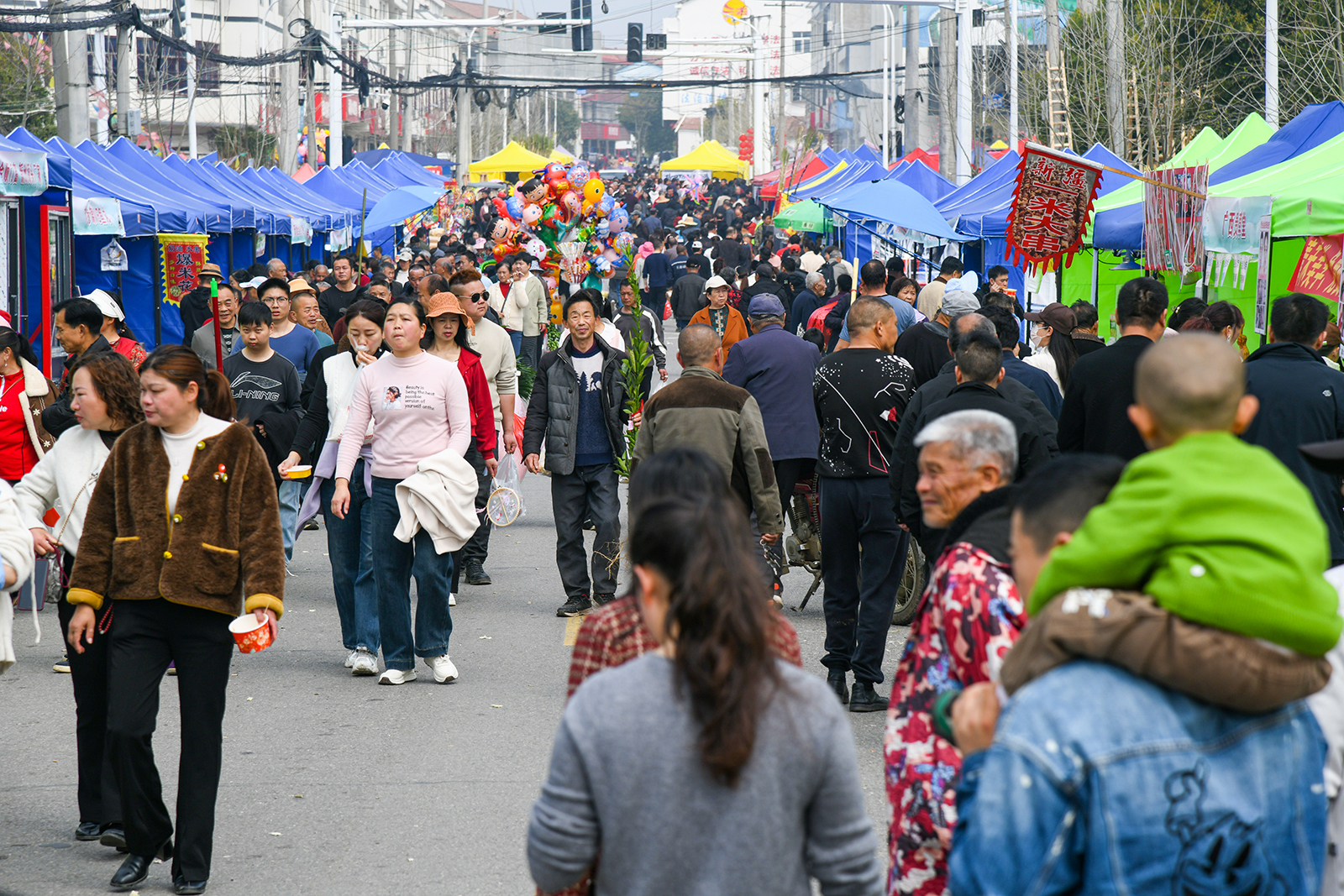 DSC_3981.jpg DSC_3981.jpg