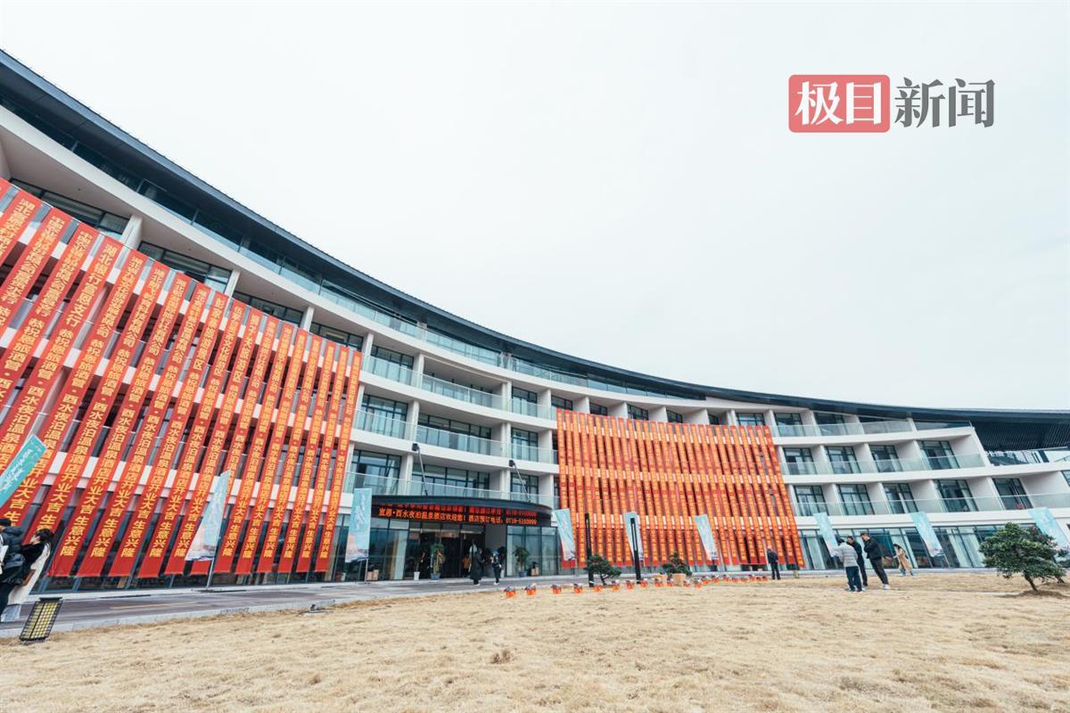 20250310_154411.jpeg 20250310_154411.jpeg