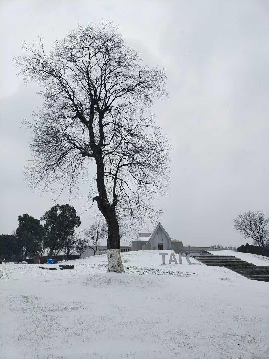 雪中武汉园博园 ，冷艳之美 徐志刚摄.jpg