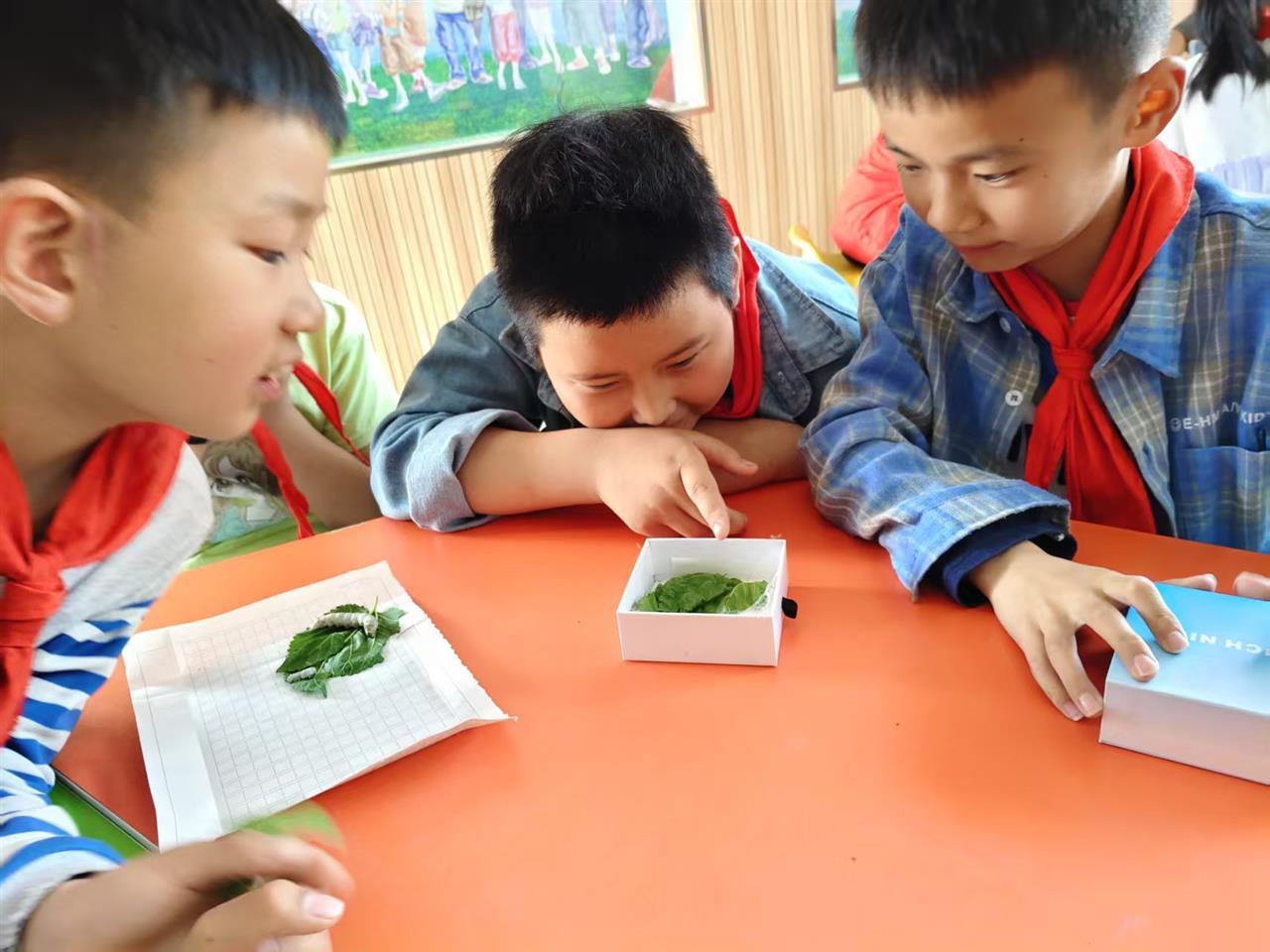 微信图片_20251013155355_468_15.jpg 微信图片_20251013155355_468_15.jpg