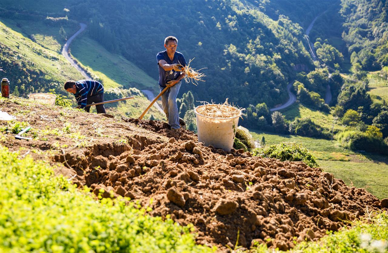 2cbbffce390cefc2976eea2e0aed4b7c.jpg 2cbbffce390cefc2976eea2e0aed4b7c.jpg