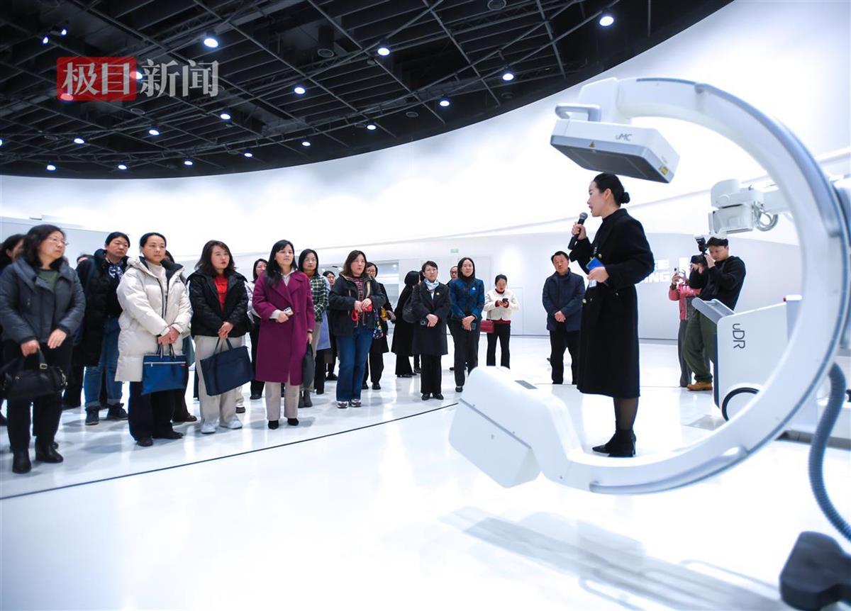 “楚凤智创 助力支点”项目发布!今年她们要干大事 | 极目新闻