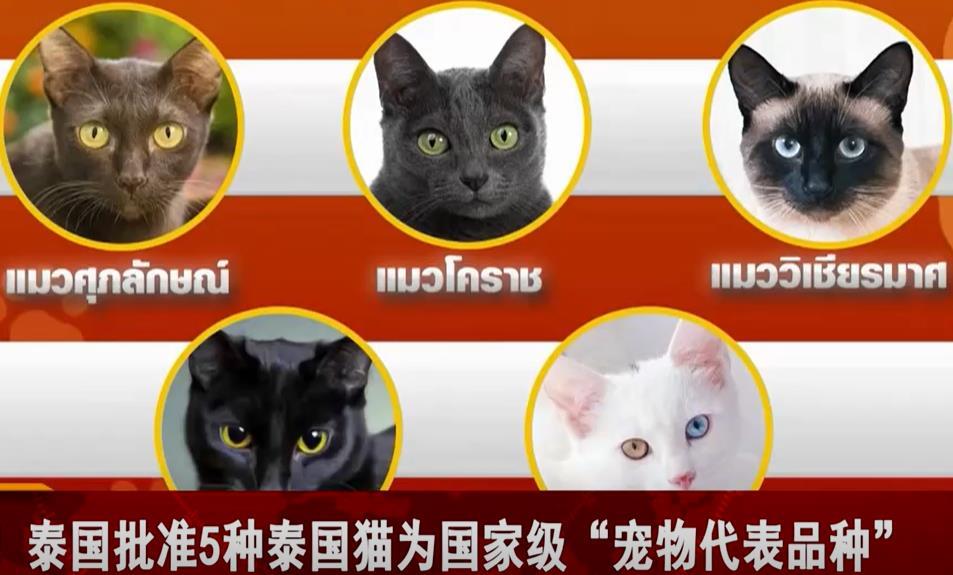 4ec9ff41-90b9-4f10-8228-e7f73595b90c.png 4ec9ff41-90b9-4f10-8228-e7f73595b90c.png